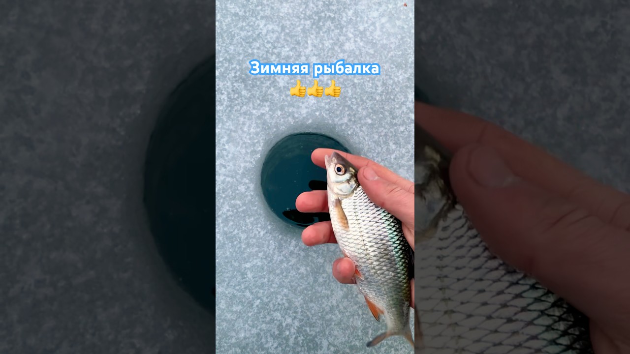 Зимняя рыбалка. Ловля рыбы зимой. Зимняя рыбалка в феврале на плотву. Ловля на удочки