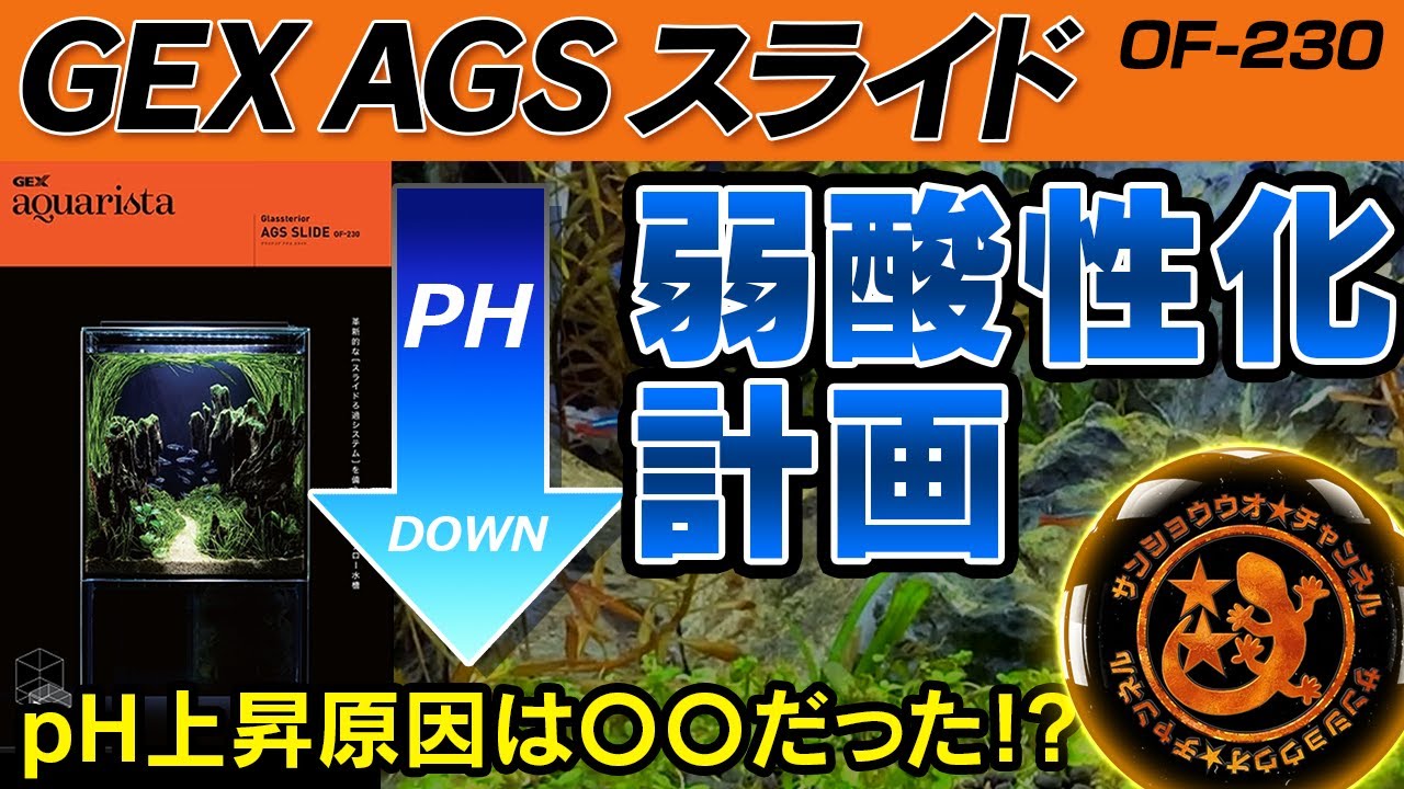 「AGSスライド弱酸性化計画」pH8.0の水草水槽を改善する