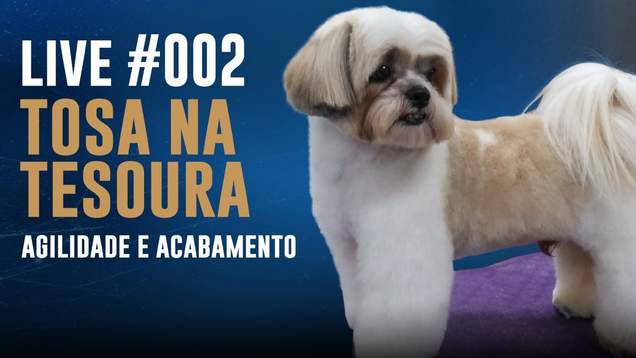 Live #002 - Tosa na Tesoura - Agilidade e Acabamento