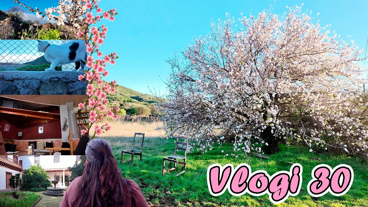 Almendros, Vida Casera y Paseo Lagunero  -Vlogi 30-