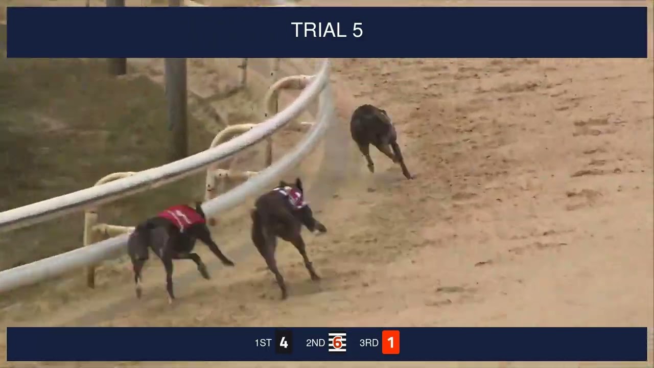 Newcastle Trials on 30th January 2026