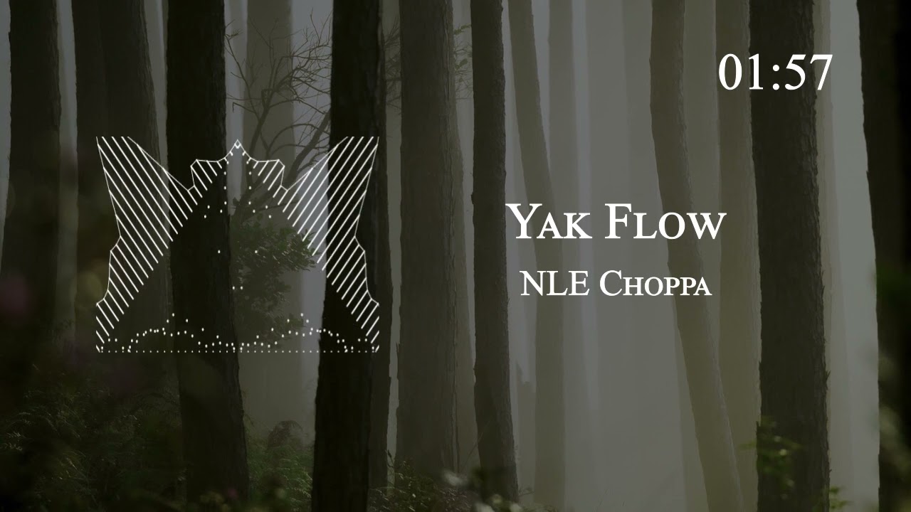 NLE Choppa - Yak Flow