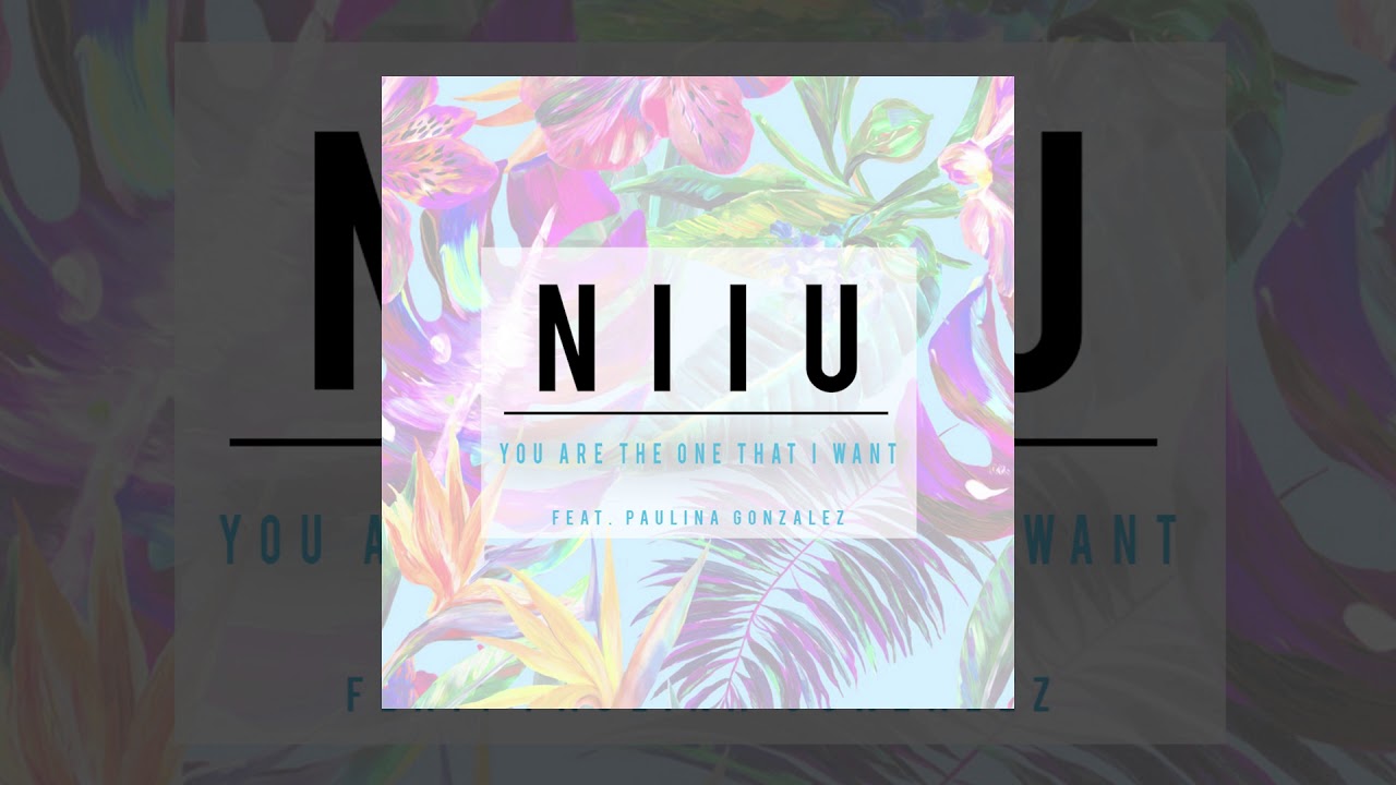 YOU ARE THE ONE I WANT - NIIU