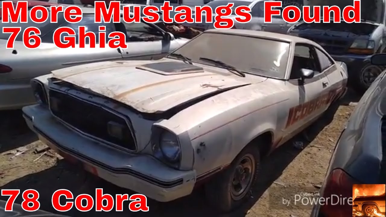 1978 Mustang II Cobra 1976 Ghia Junkyard Find