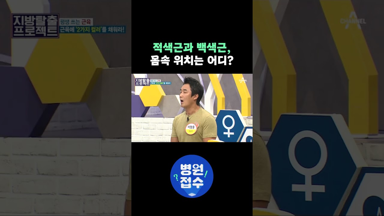 적색근과 백색근, 몸속 위치는 어디?