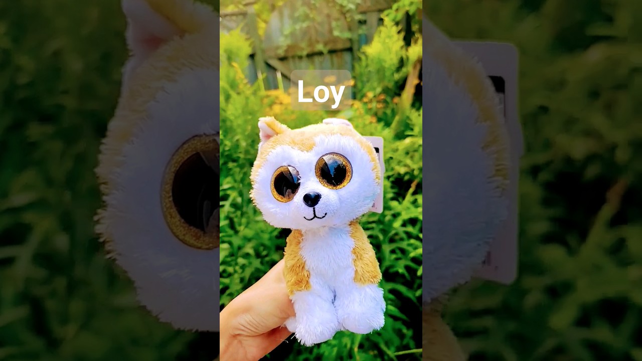 Beanie Boos In Real Life 🐶