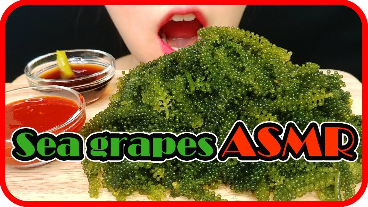 ASMR SEA GRAPES / 海ぶどう / 바다포도 먹방 MUKBANG EATING SOUND