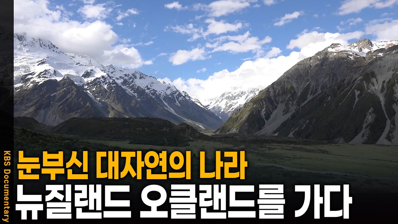 광할한 대자연 속 아름다운 풍경, 뉴질랜드 오클랜드를 가다 | KBS 20250320 방송