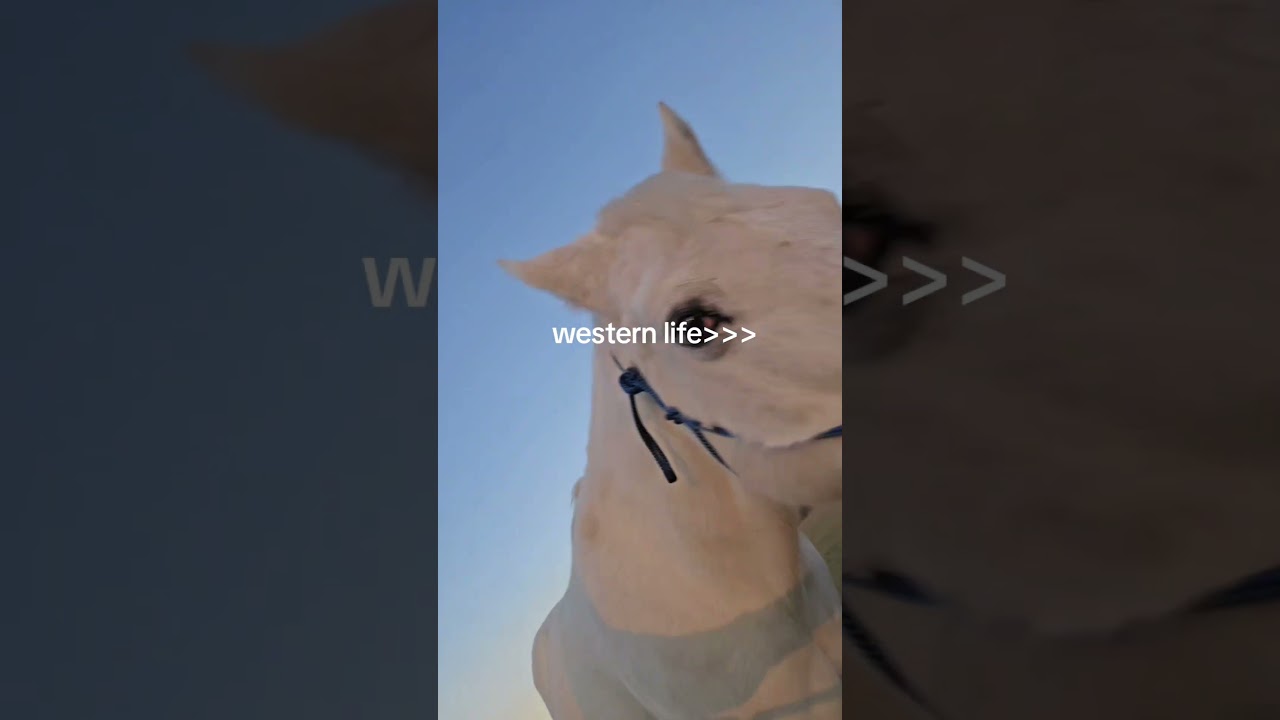 #westernlifestyle
