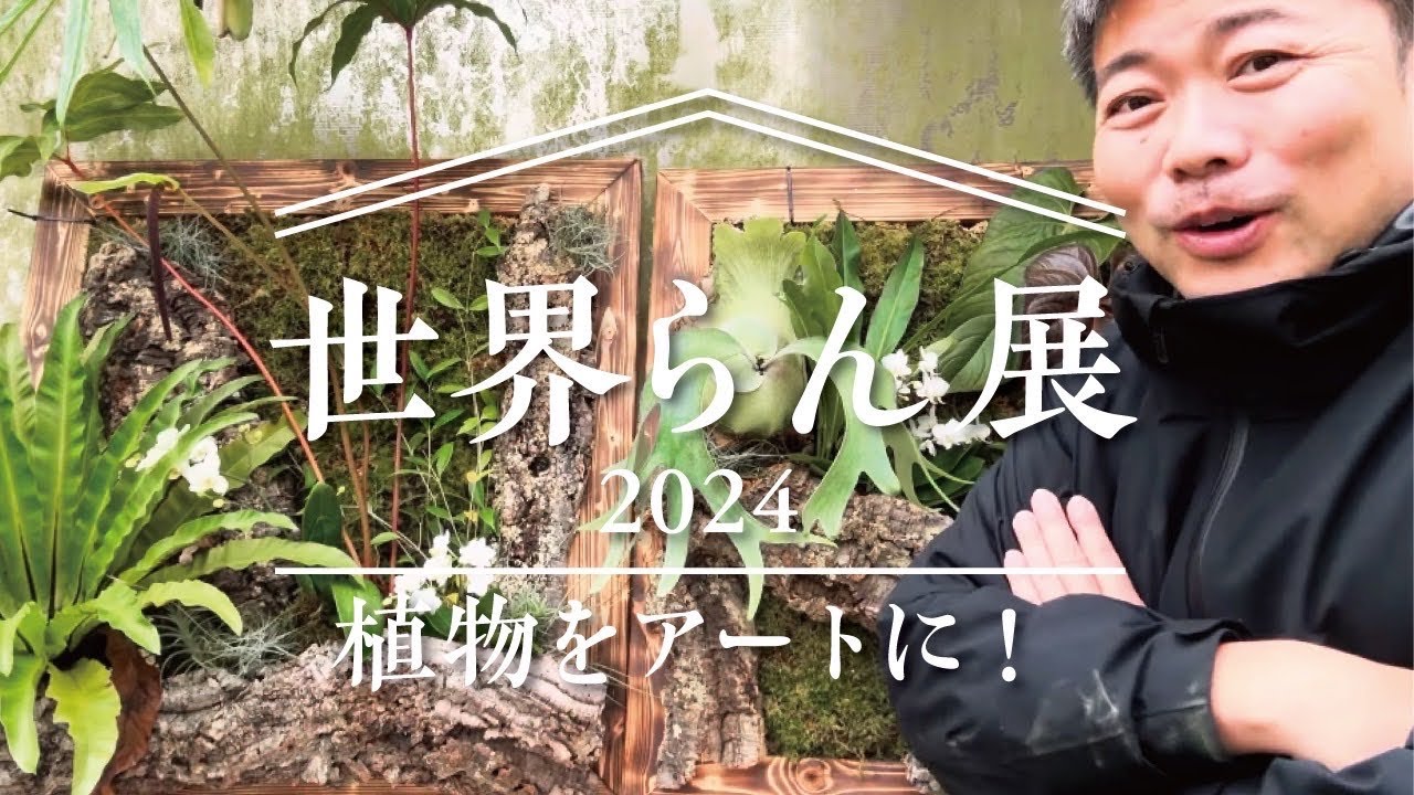 植物がアートに⁉️世界らん展で展示した植物を解説
