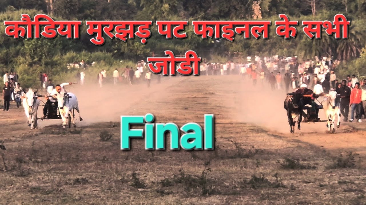 मुरझड़ कौडिया फाइनल की सभी जोड़ीया || kaudiya murjhad pat pratiyogita Balaghat