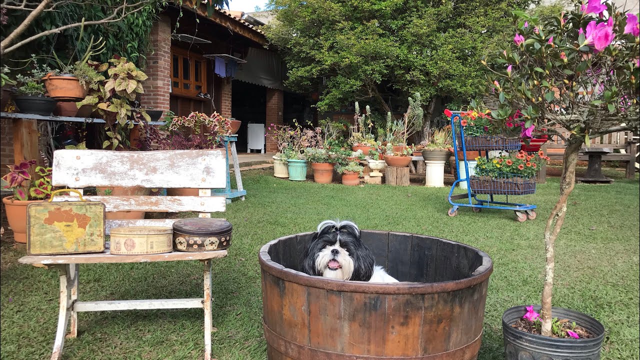 #RECEBIDOS do #ANTIQUÁRIO #CARROÇA + PARTE 2