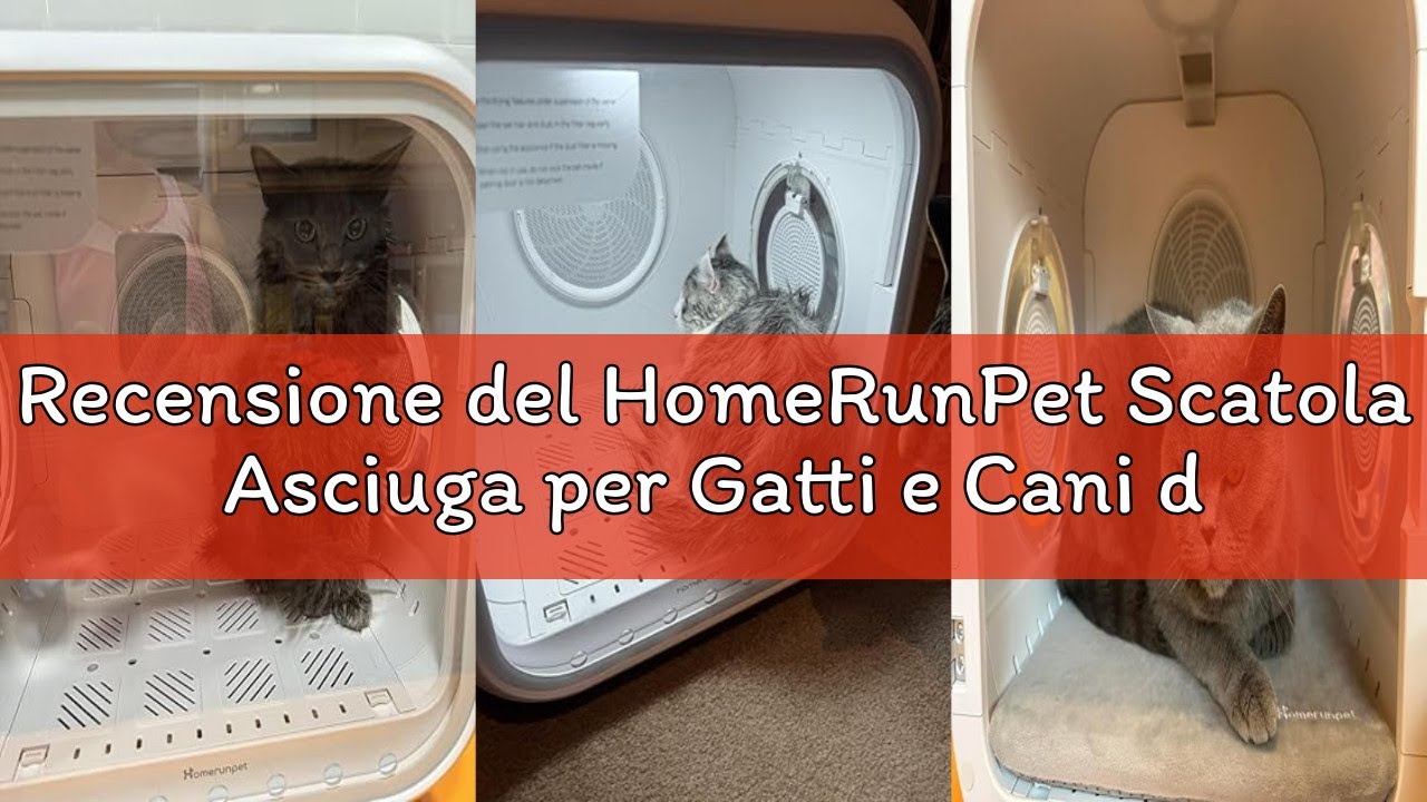 Recensione del HomeRunPet Scatola Asciuga per Gatti e Cani di Piccola Taglia, 360° Efficiente Asciug