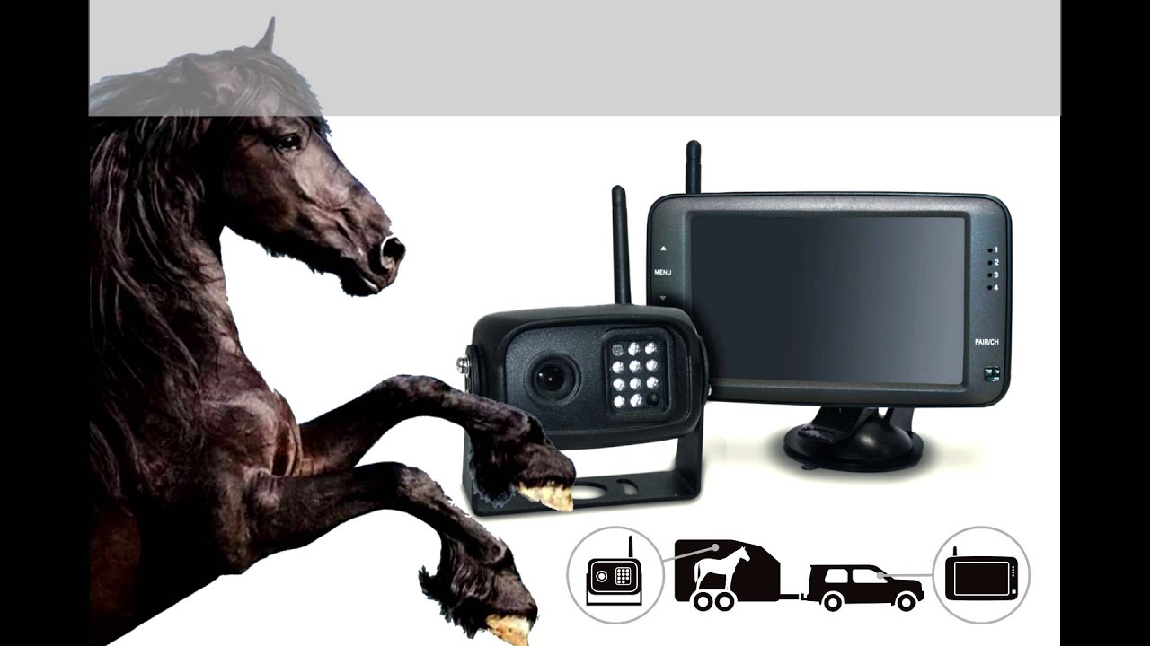 Digitaal draadloze camera set - CarVision - paardentrailer PACK-500DW  # paarden horse trailer cam