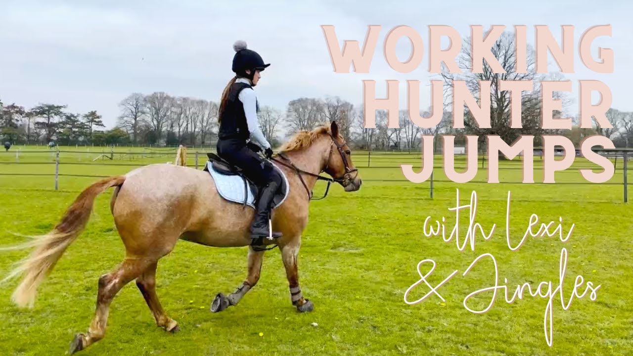 Working Hunter Jumps with Lexi & Jingles (& friends!)