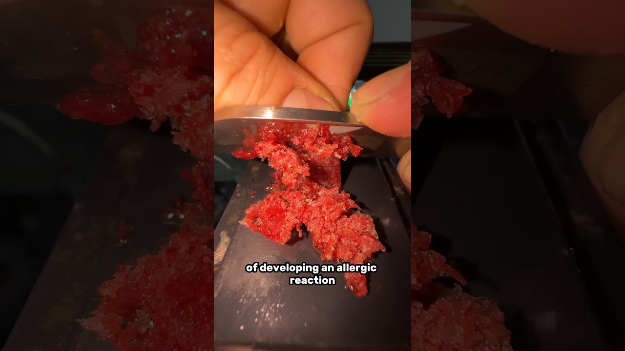 Can you touch bloodworms?