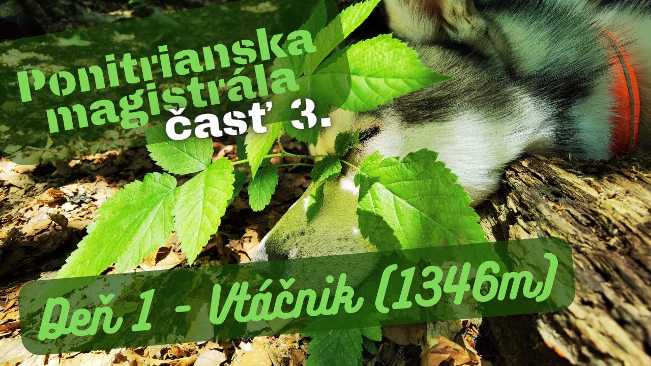 Ponitrianska magistrála - časť 3. (cez Jarabú skalu na Vtáčnik (1346m) a prameň pod ním)