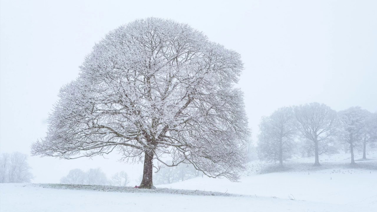 Vrouw Holle | Wintersprookje | Sprookjes en verhalen | Vrijeschool | Grimm