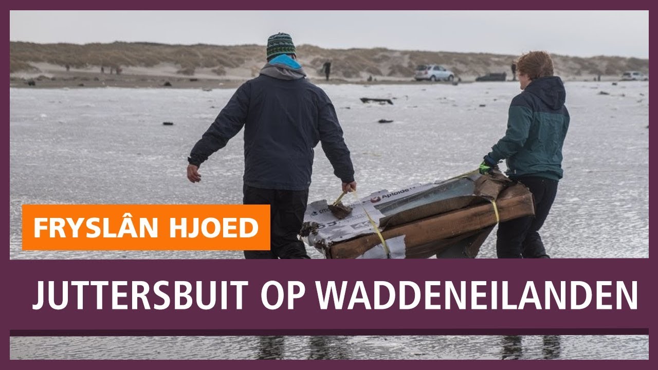 REPO: Juttersbuit: een goudmijn voor de liefhebber, hoofdpijn voor autoriteiten
