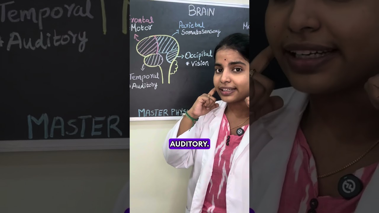 Master physiotherapy subjects with Physio Educator #physioeducator
