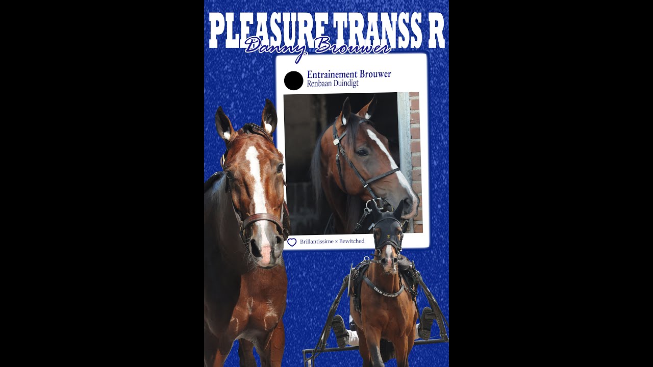 Derby - 4. Pleasure Transs R & Danny Brouwer