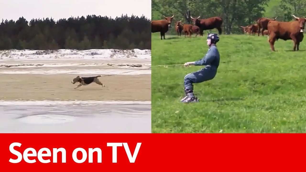 Seen on TV | Planning for the Future