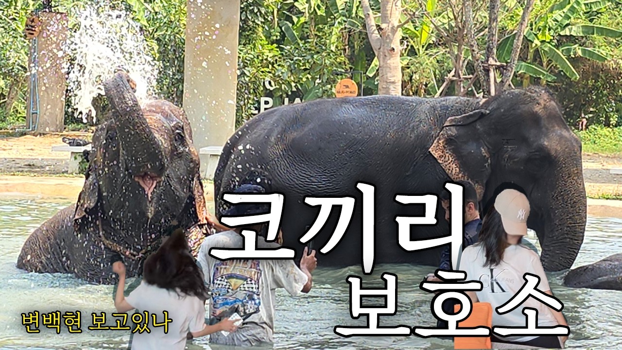 #방콕여행4 코끼리 보호소 투어｜신돈 캠핀스키 호텔 조식 ｜슈퍼엠 댄스 축하공연
