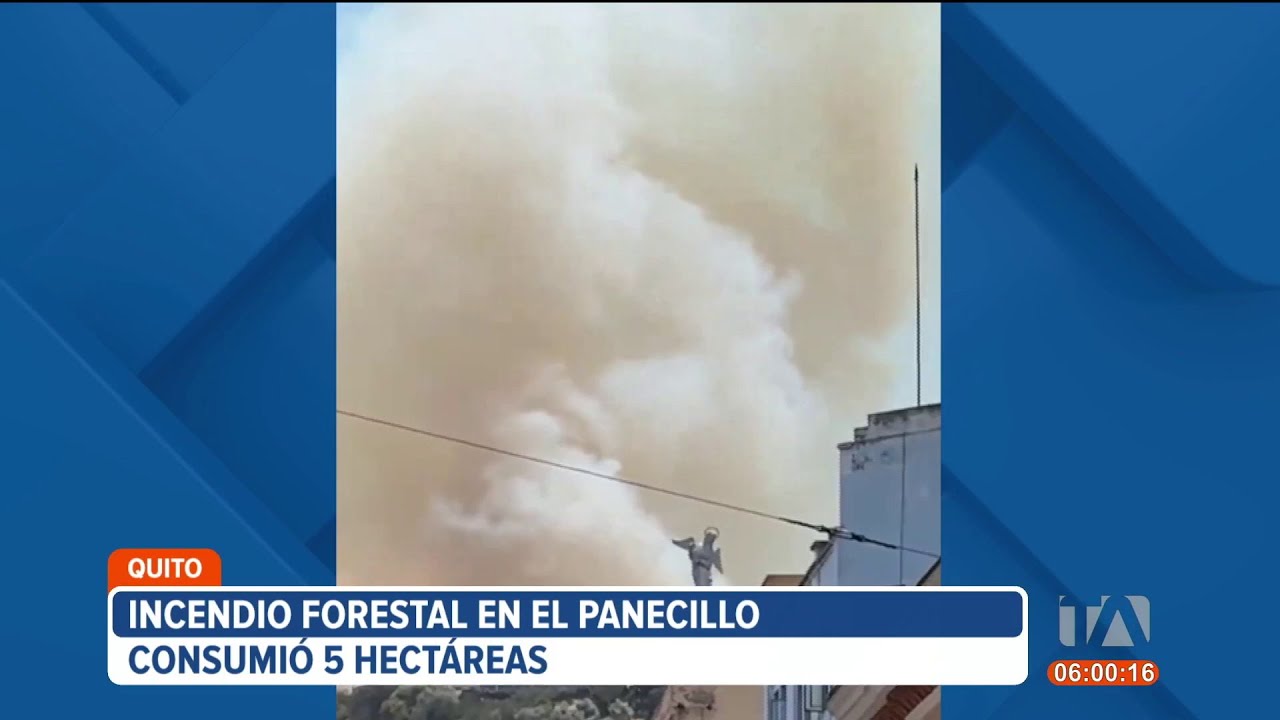 5 hectáreas fueron consumidas por el fuego del incendio forestal en el Panecillo, centro de Quito