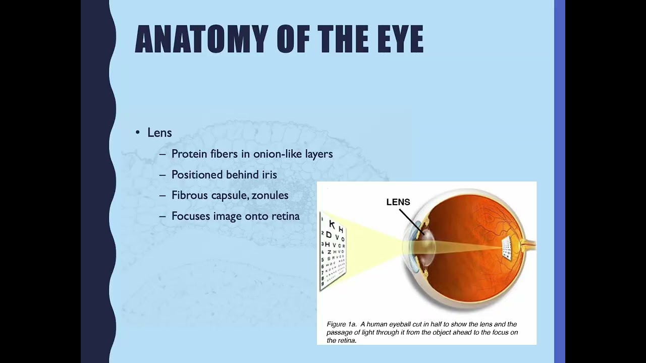 Ophthalmic agents