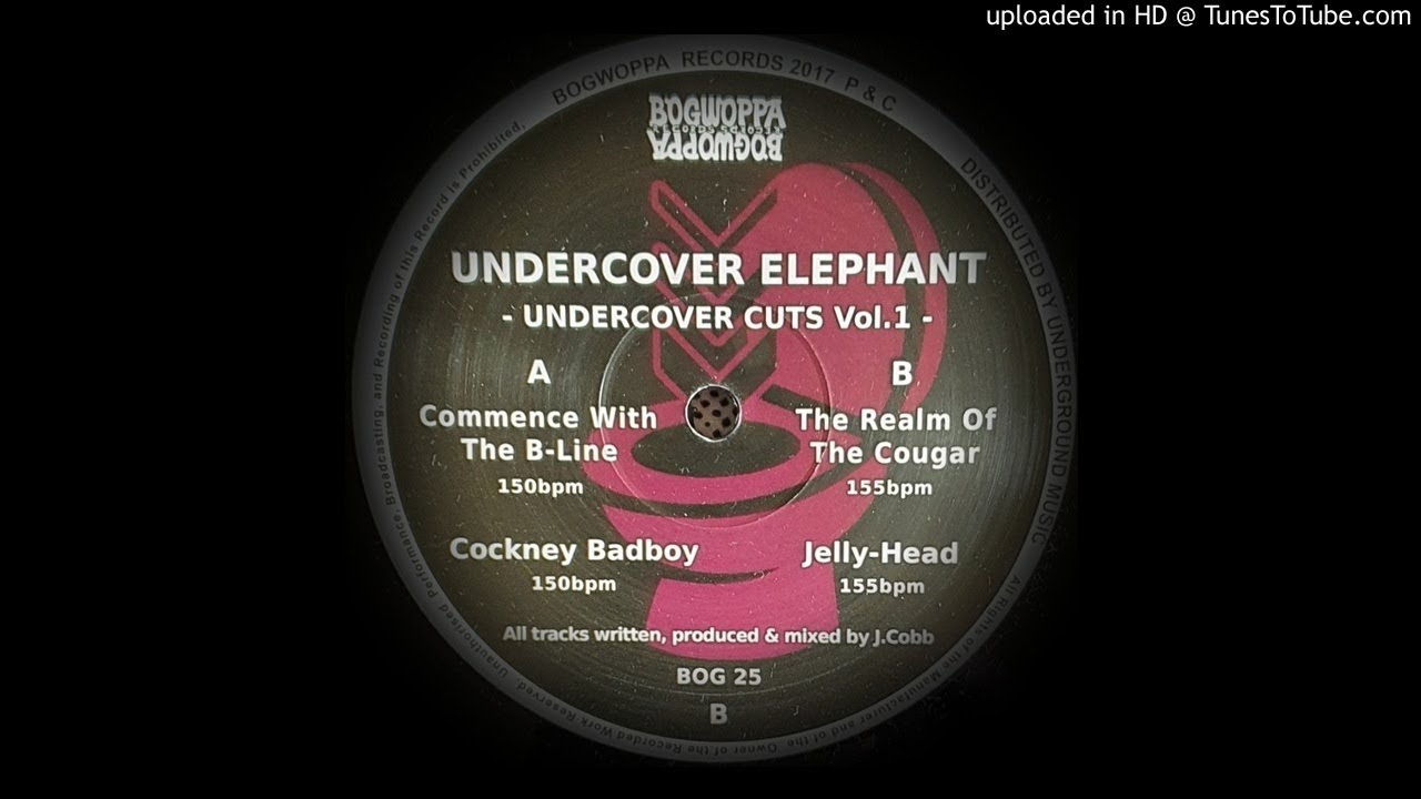 UNDERCOVER ELEPHANT - THE REALM OF THE COUGAR