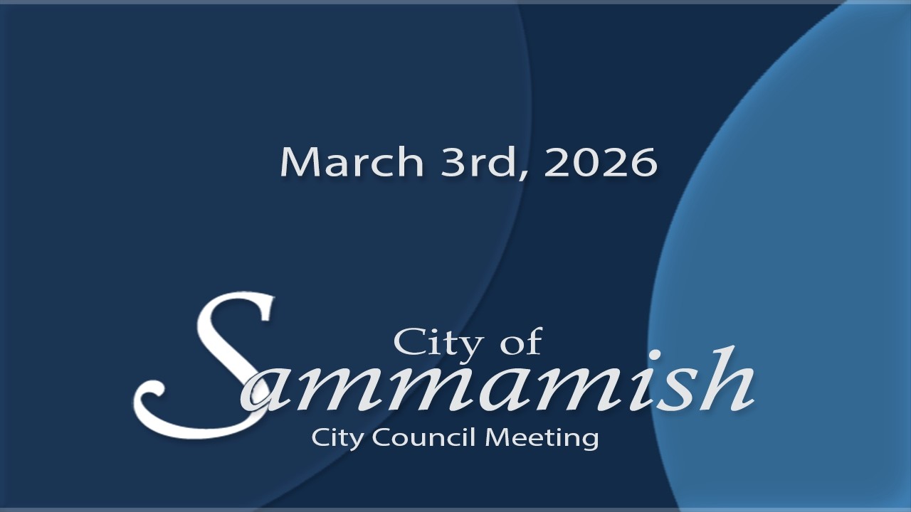 March 3rd, 2026 - City Council Meeting
