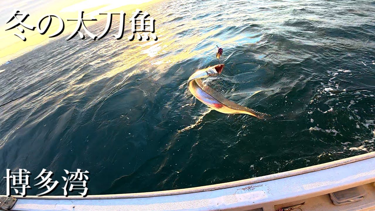 【博多湾】良型揃いの冬の太刀魚テンヤ【船タチウオ】