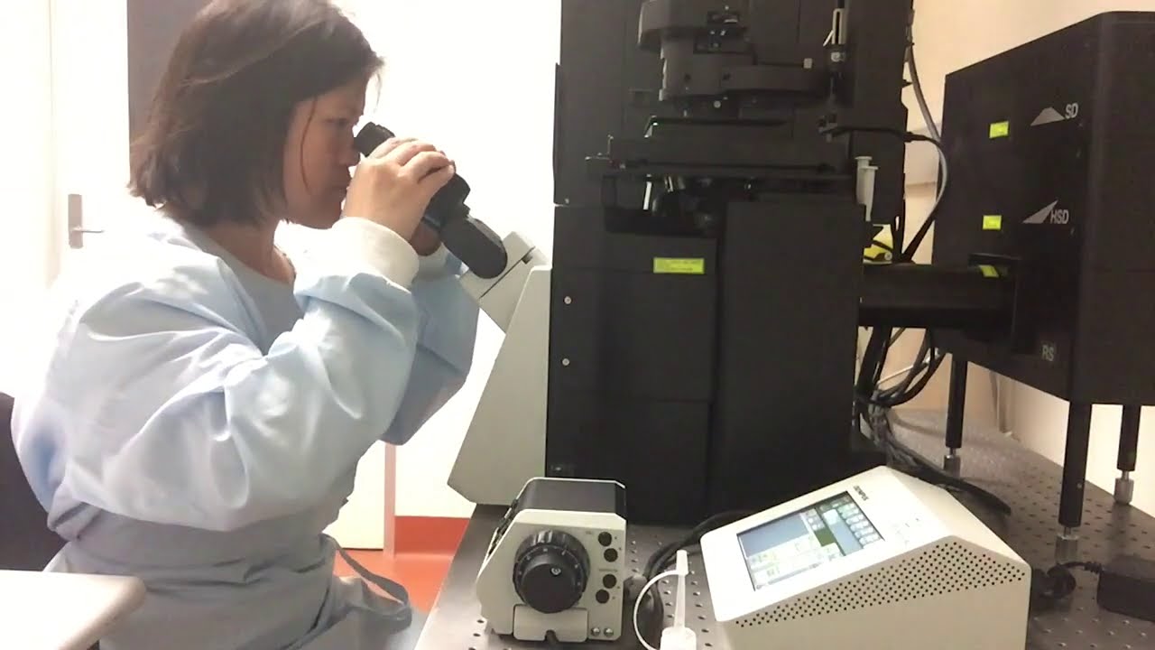 Olympus FluoView FV3000 Confocal Microscope