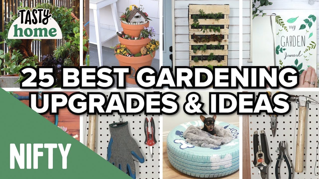 25 Best Gardening Upgrades & Ideas | Tasty Home