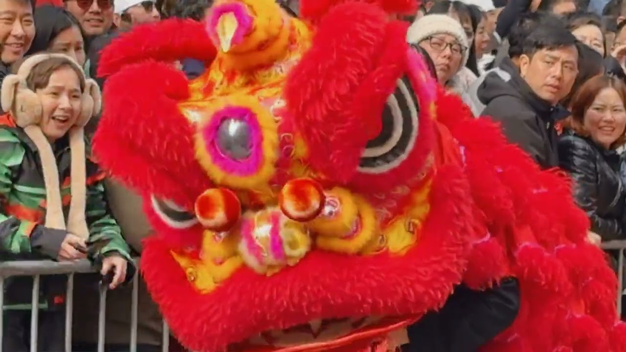 Lunar New Year 2026 - Year of the Horse