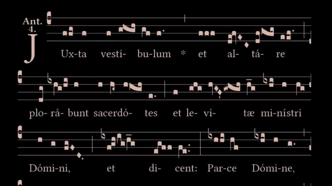 Ash Wednesday. Antiphon : Juxta Vestibulum