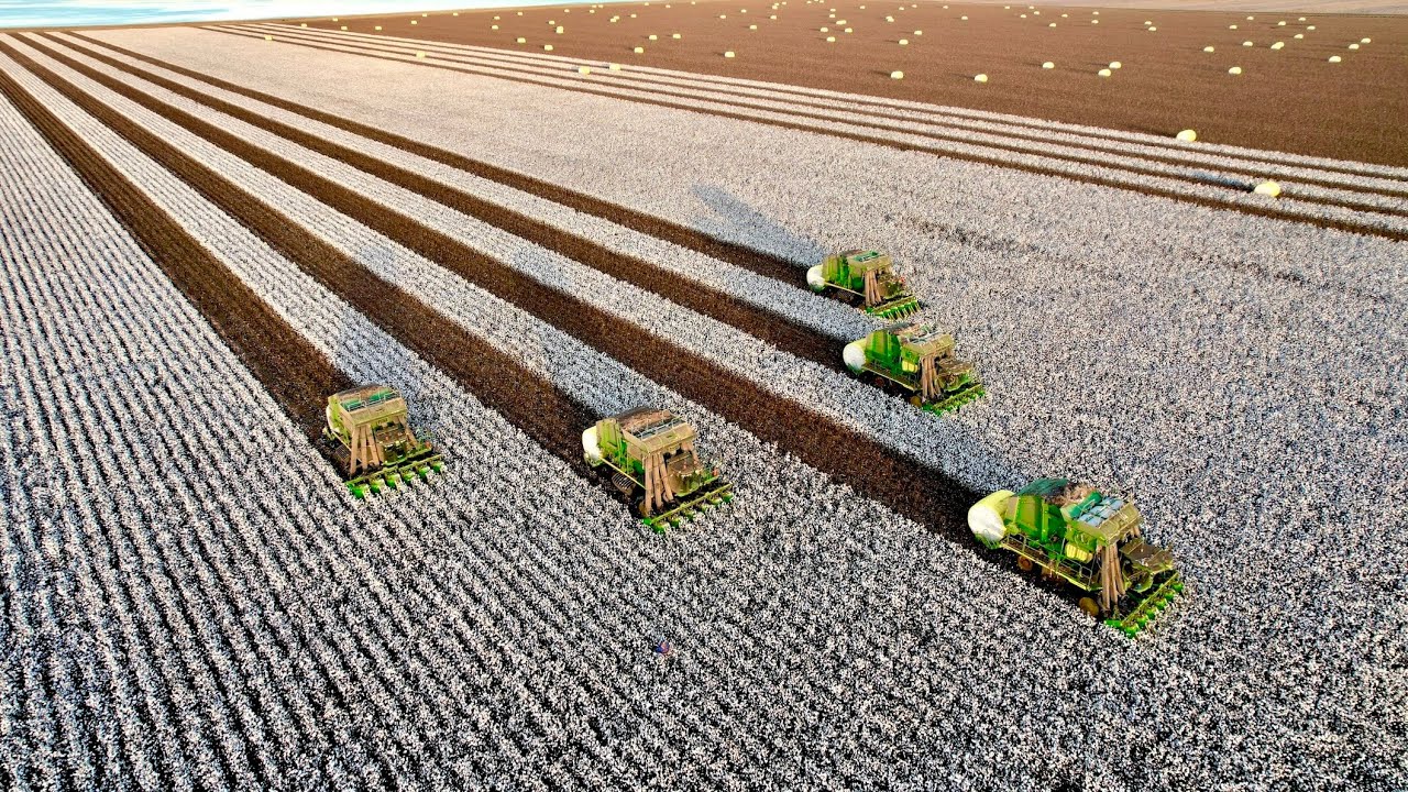 Cotton Picker Tips-USA Ready 2024