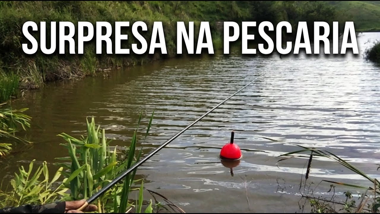 TRAÍRAS MONSTRAS! As Maiores que Já Pegamos Nesse Lugar #pescaria