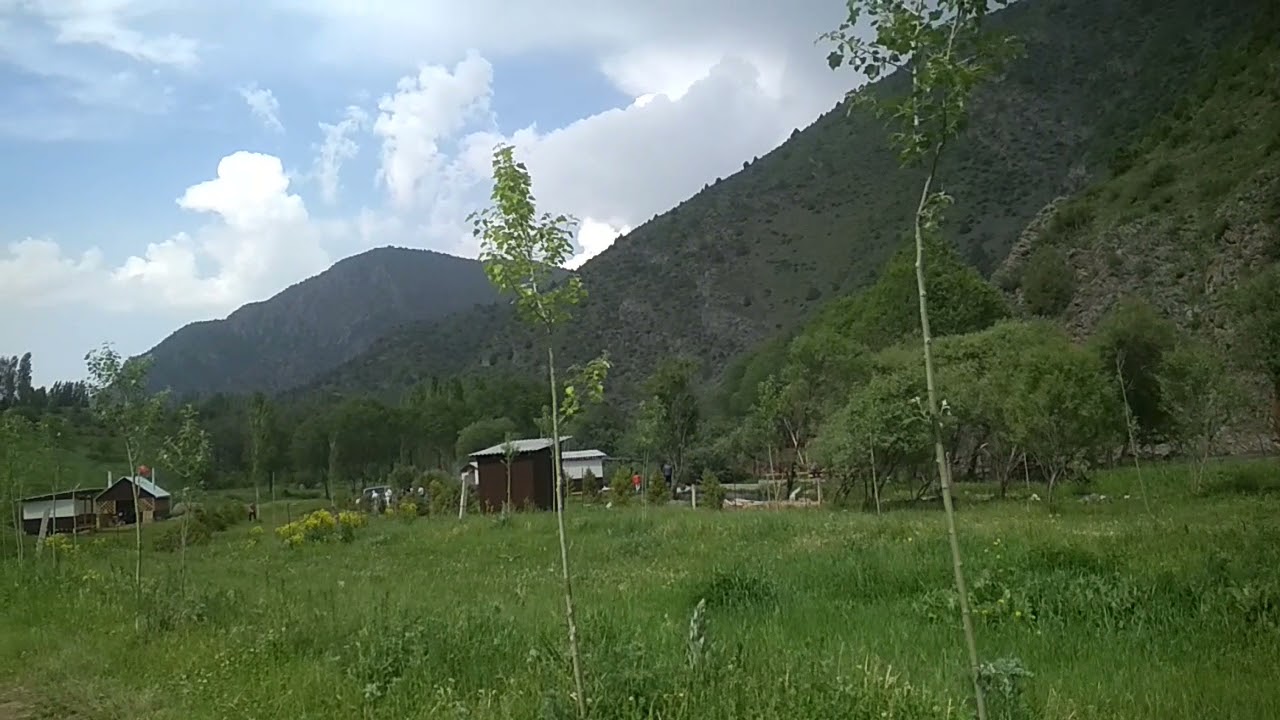 Абшыр Ата .дем алганы шарттар тузулгон.