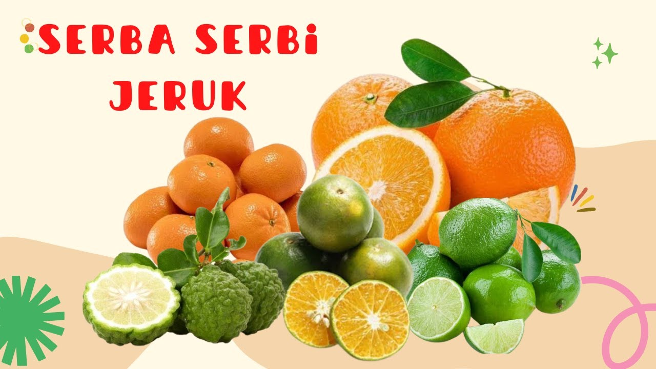 Serba Serbi Jeruk || Macam - Macam Jeruk di Indonesia