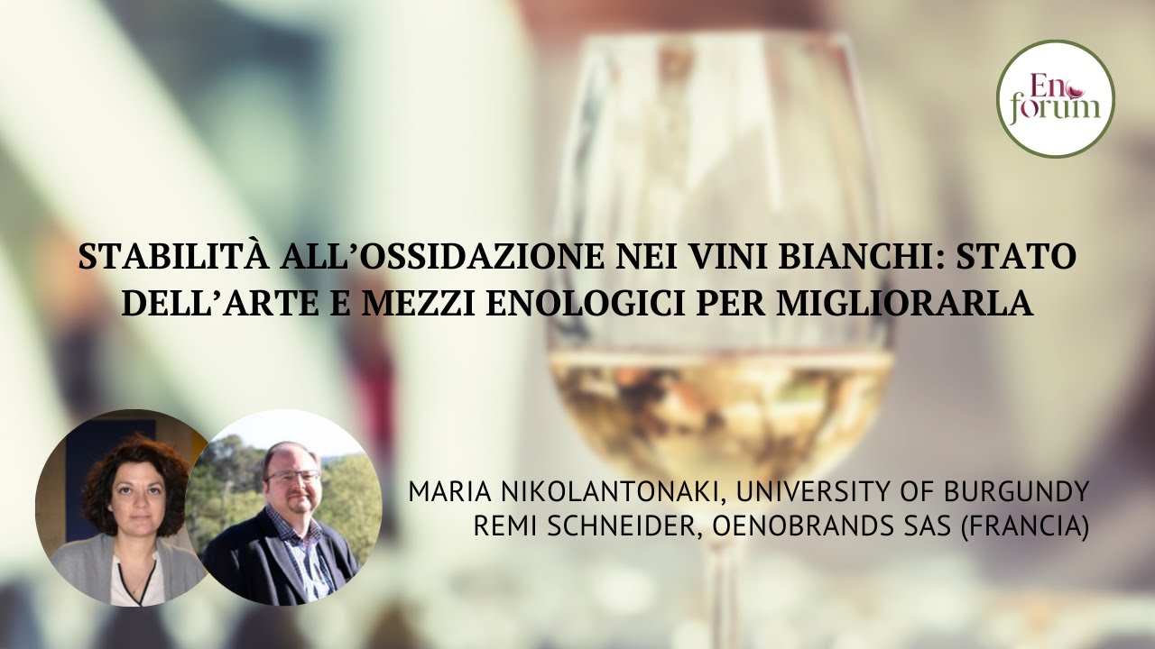 Stabilità all’ossidazione nei vini bianchi: stato dell’arte e mezzi enologici per migliorarla