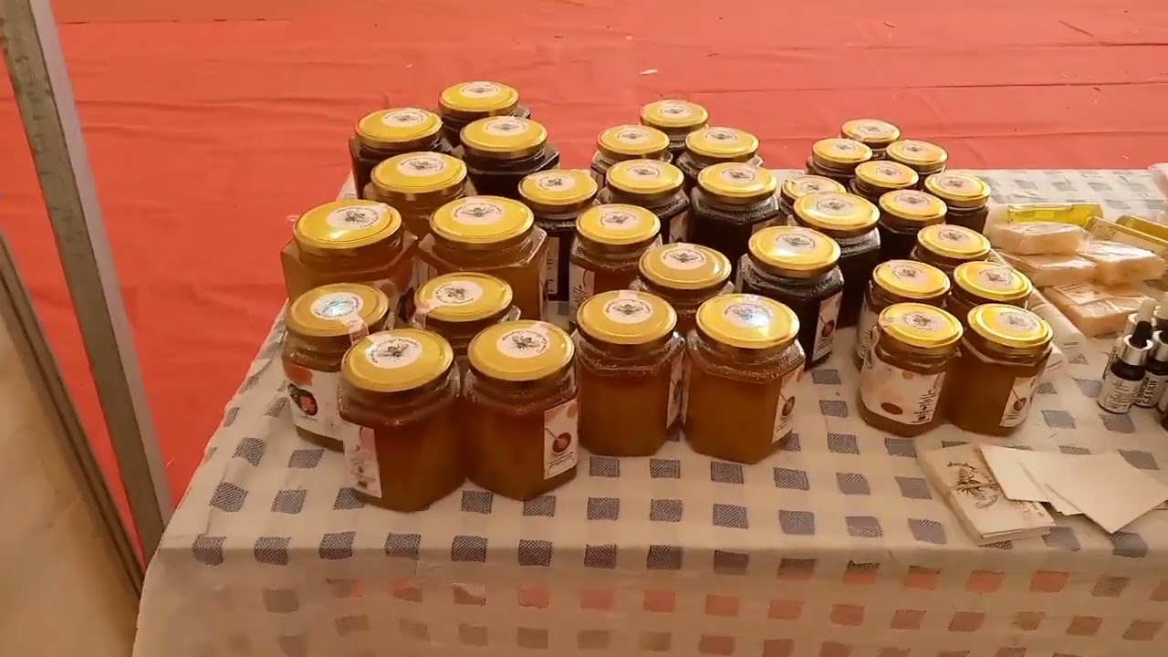 مهرجان تاغجيجت