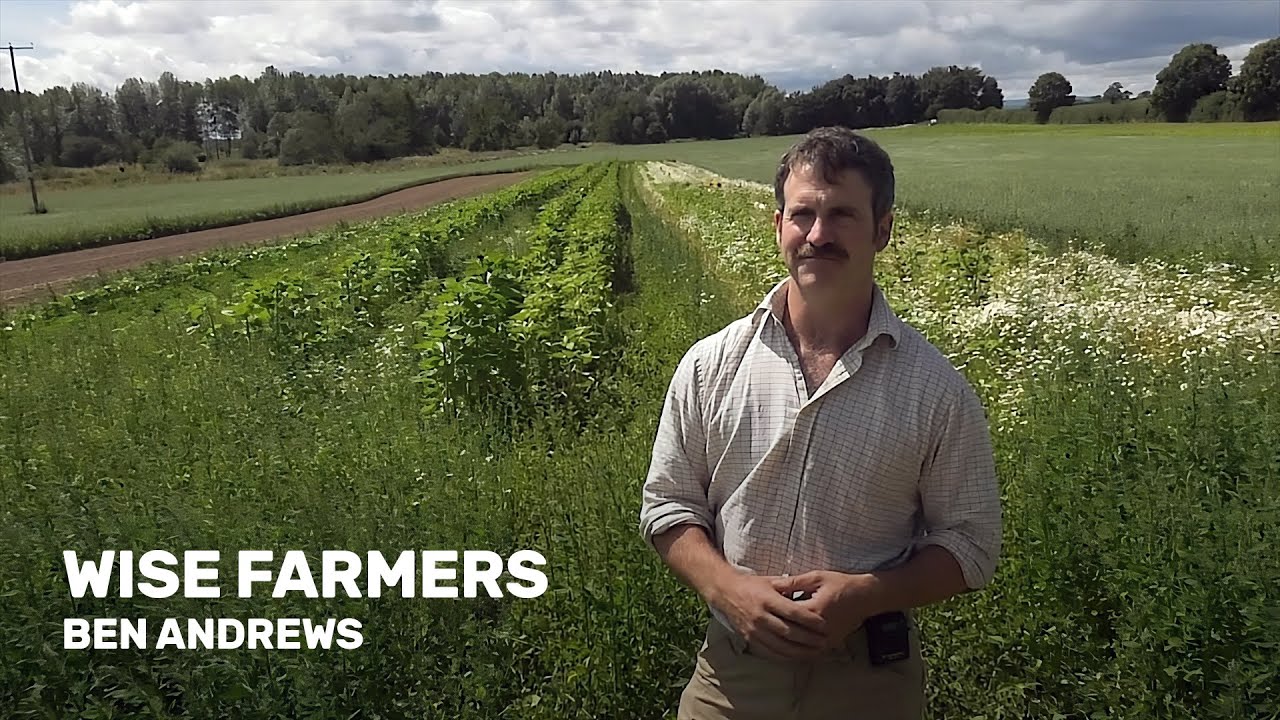 Wise Farmers: Ben Andrews