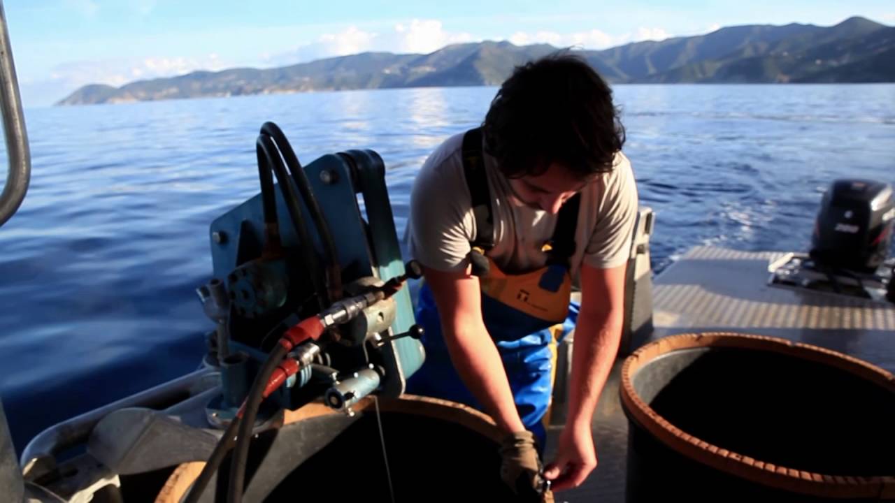 Pêche au thon par Damien Muller de l'Auberge du Pêcheur