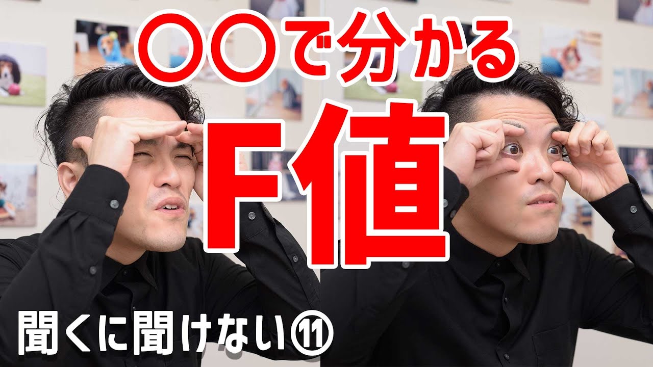 ボケ写真に直結するF値の仕組みは〇〇を意識すれば一発で覚えれます。【聞くに聞けないカメラ講座】