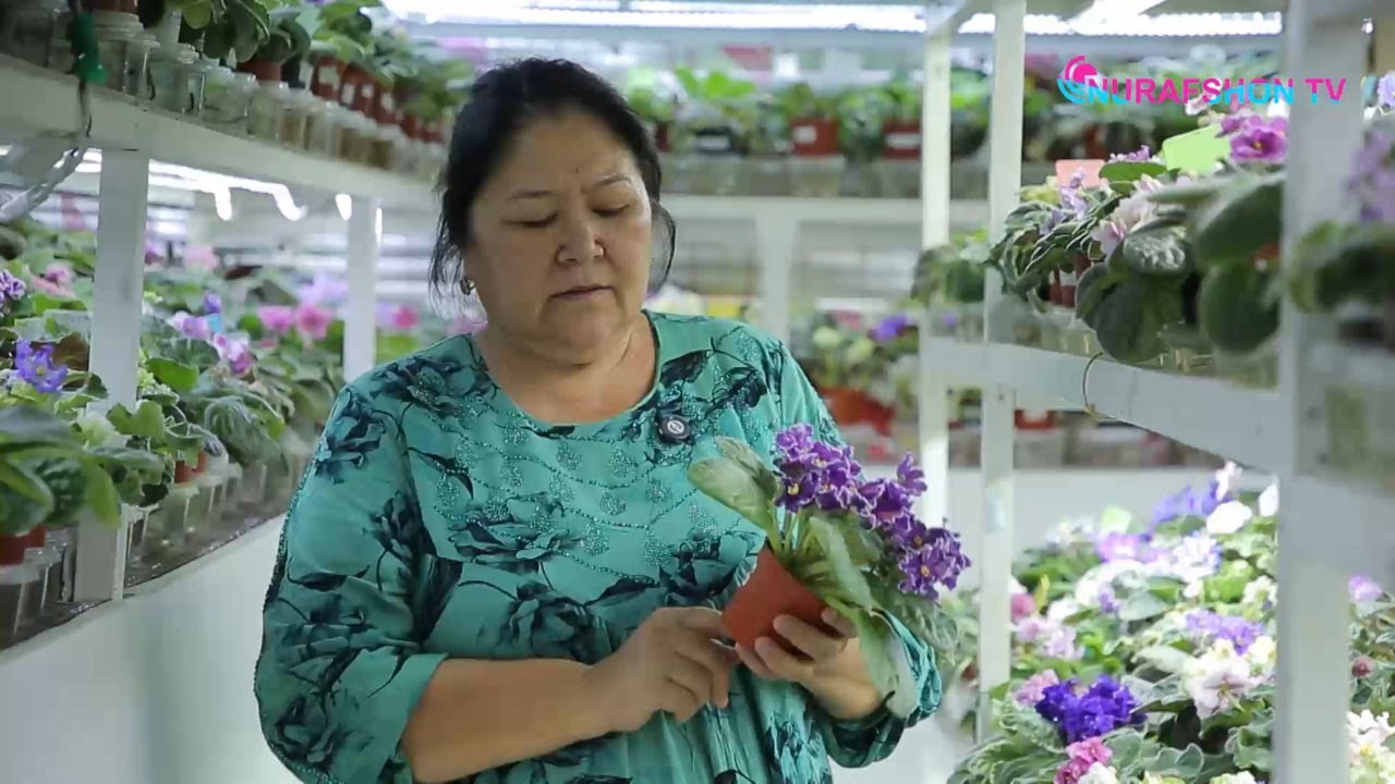 Marhamat opaning ajoyib bog‘iga birga sayohat qilamiz!