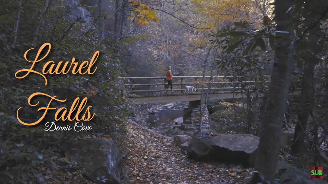 Laurel Falls Hike - Dennis Cove