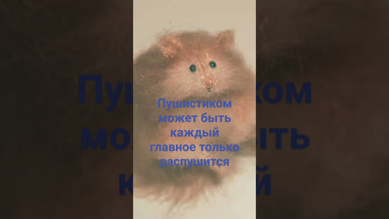 пушистиком может быть каждый.