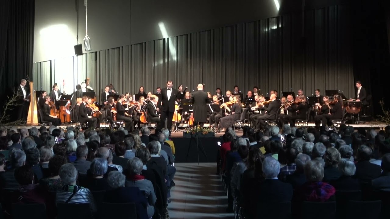 Constantin Doppler - Toreador from Bizet's Carmen - G. Bizet