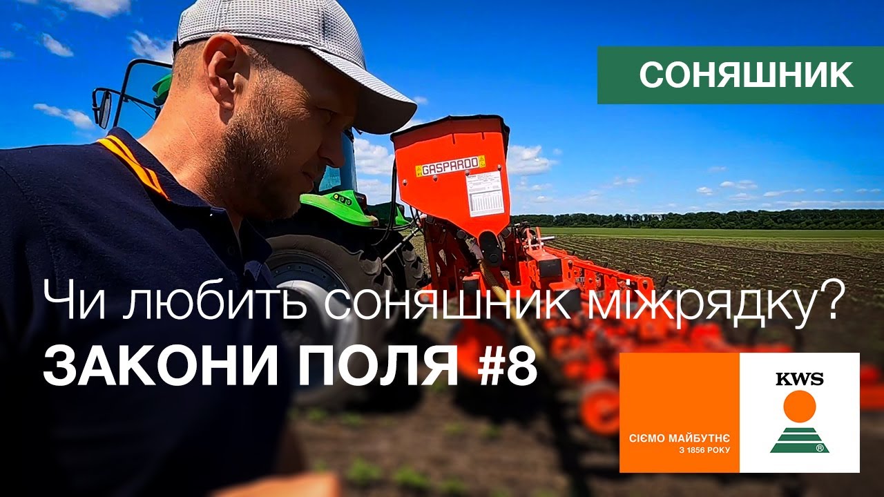 Чи любить соняшник міжрядку? | ЗАКОНИ ПОЛЯ #8